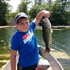 Meet your Posher, Wyatt